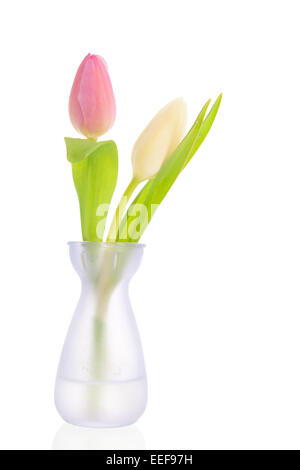 Tulipes roses et blanches dans peu de vase isolé sur fond blanc Banque D'Images