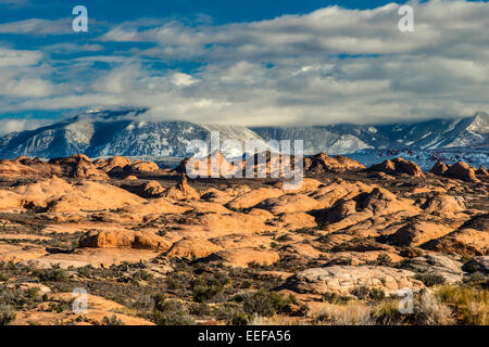 Vue d'hiver sur les Dunes pétrifiées aux cimes enneigées, Arches National Park, Utah, USA Banque D'Images