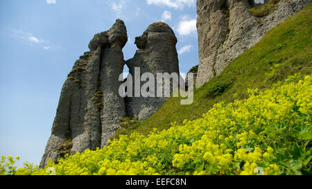 Paysage alpin dans les montagnes Ciucas, Roumanie Banque D'Images