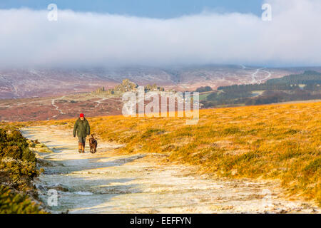 Dartmoor National Park, Devon, UK. 17 Jan, 2015. Homme marchant avec chien le long vers le bas dans la neige légère Haytor, Dartmoor National Park, Devon, Angleterre, Royaume-Uni, Europe. Crédit : Sébastien Wasek/Alamy Live News Banque D'Images