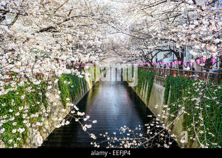 Tokyo, Japon à Meguro canal dans le printemps. Banque D'Images