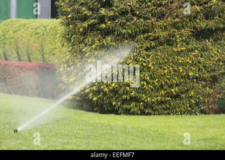 Sprinkleur pelouse pulvériser de l'eau sur l'herbe verte dans le jardin Banque D'Images