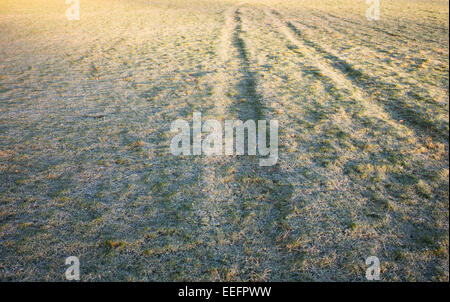 Les chenilles du tracteur dans un champ d'herbe glaciale en hiver. UK Banque D'Images