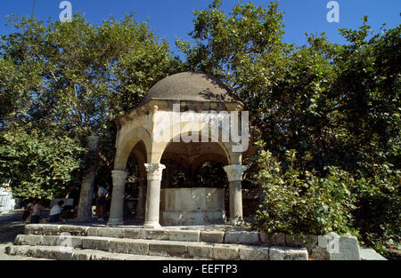 Grèce, îles du Dodécanèse, Kos, fontaine turque et platane Hippocrate Banque D'Images