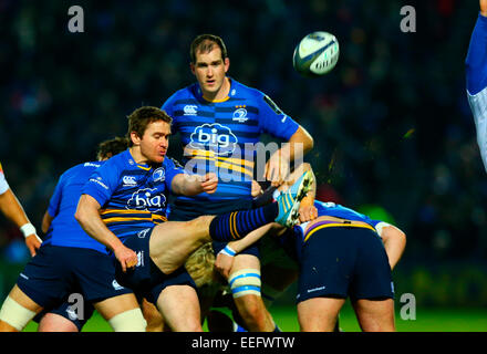 Dublin, Irlande. 17 Jan, 2015. European Rugby Champions Cup. Leinster contre Castres. Eoin Reddan (Leinster) efface le coup de pied. Credit : Action Plus Sport/Alamy Live News Banque D'Images