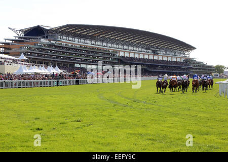 Royal Ascot, chevaux et jockeys lors d'une course Banque D'Images