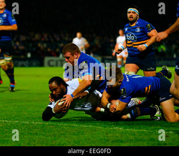 Dublin, Irlande. 17 Jan, 2015. European Rugby Champions Cup. Leinster contre Castres. Marcel Garvey (Castres) plonge pour la ligne mais est court. Credit : Action Plus Sport/Alamy Live News Banque D'Images