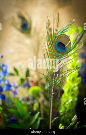 Arrangement floral avec plumes de paon Banque D'Images