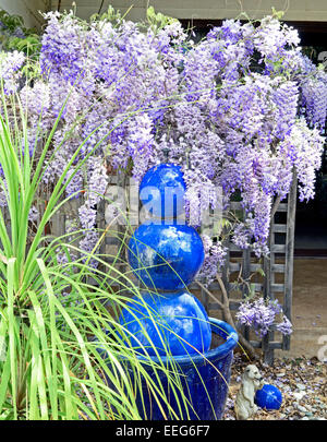 Plus de wisteria trellis Banque D'Images