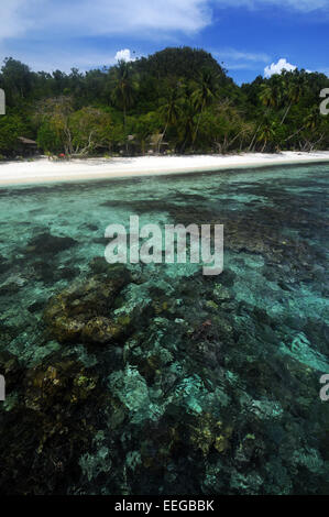 Reef et plage de l'île de Gam, Raja Ampat, la province de Papouasie, Indonésie. Pas de PR Banque D'Images