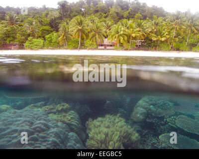Santé des récifs de corail, la plage et l'homestay hut, GAM, l'île de Raja Ampat, la province de Papouasie, Indonésie. Pas de PR Banque D'Images