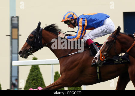 Royal Ascot, Bracelet avec Joseph O'Brien gagne le Ribblesdale Stakes up Banque D'Images