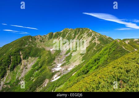 Alpes du Sud Mt. Senjougatake, Yamanashi, Japon Banque D'Images