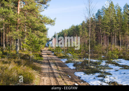 Paysage de printemps avec forest road Banque D'Images