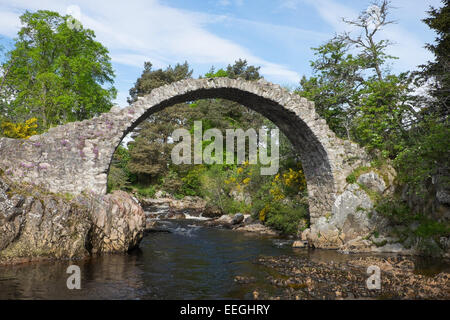 Le vieux cheval pierre pont sur la rivière de Boat of Garten à Carrbridge dans les Highlands, en Écosse. Banque D'Images