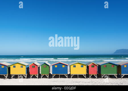 Des bains colorés à Muizenberg, Cape Town, Afrique du Sud, debout dans une ligne. Banque D'Images