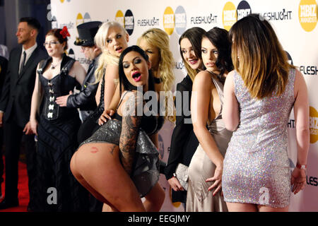 LA, Californie, USA. 16 janvier, 2015. Au cours de l'atmosphère 2015 Xbiz Awards à Los Angeles, USA, le 15 janvier 2015. Photo : Hubert Boesl - AUCUN FIL SERVICE - © AFP PHOTO alliance/Alamy Live News Banque D'Images