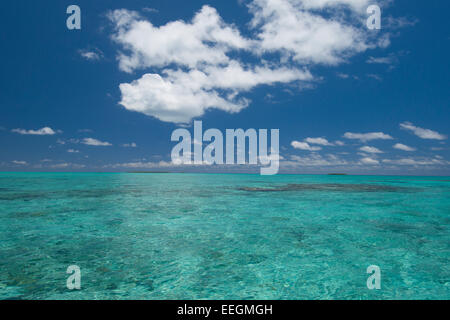 Îles Cook. L'île de Palmerston, un classique atoll. Crystal Clear lagon peu profond avec le corail. Banque D'Images