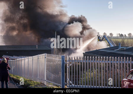 Le Northamptonshire. 18 janvier 2015 au Royaume-Uni. Grand feu à Think Green Recycling Ltd, Wollaston Industrial Estate, Raymond Fermer, Wollaston. Traitement et élimination des déchets dangereux et déchets non dangereux a pris feu depuis 1 h du matin lorsque l'alarme a été soulevée, avec de nombreux appareils d'incendie à bord. La fumée pourrait être vu d'environ 15 milles de là, Banque D'Images