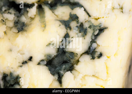 Macro photographie d'un morceau de fromage bleu de Stilton Banque D'Images