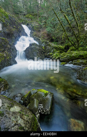 Todd Creek et cascade dans Park-Sooke-poule Sooke, Colombie-Britannique, Canada. Banque D'Images