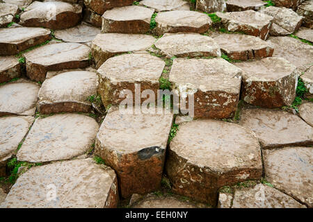 Formations en pierre de basalte hexagonal sur la Chaussée des Géants côte d'Antrim en Irlande du Nord Banque D'Images