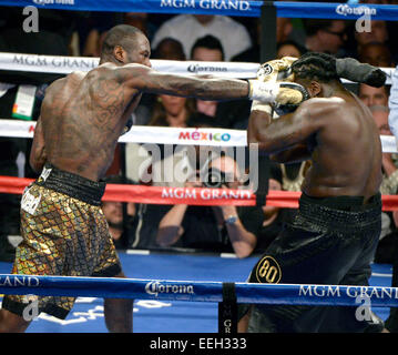 Las Vegas NV, USA. 17 Jan, 2015. (Dans les lignes) Deontae gld Wilder va 12 rondes avec Bermane Stiverne samedi au MGM Grand Hotel. Deontae Wilder a pris la victoire par décision unanime pour ramener le titre WBC Heavyweight Championship aux USA. Photo par Gene Blevins/LA Daily News/ZumaPress © Gene Blevins/ZUMA/Alamy Fil Live News Banque D'Images