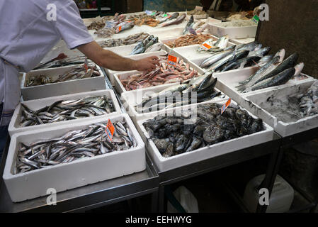 Poisson frais, y compris les anchois, sur la glace dans des encadrés à un décrochage du poisson sur la Via Pescherie Vecchie, à Bologne, en Italie. Banque D'Images