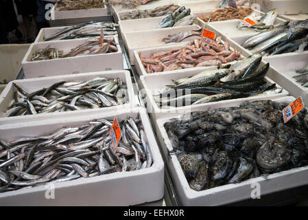 Poisson frais, y compris les anchois, sur la glace dans des encadrés à un décrochage du poisson sur la Via Pescherie Vecchie, à Bologne, en Italie. Banque D'Images