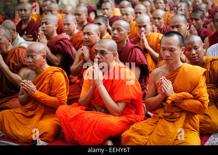 Les moines bouddhistes du temple de la Mahabodhi à Bodhgaya, en Inde, un jour après le terrorisme d'une bombe le 7 juillet 2013. Banque D'Images