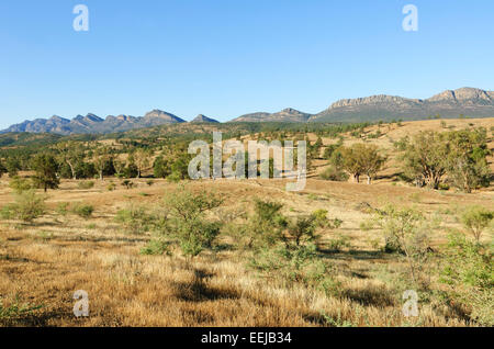 Moralana Scenic Drive, Flinders Ranges, Australie Méridionale Banque D'Images