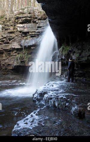 Gibson's Cave Bowlees Teesdale supérieur County Durham UK, lundi 19 janvier 2015. Météo britannique. Des températures de gel dans le comté de Durham ont créé des conditions de conduite difficiles sur les routes non traitées. Summerhill à forcer un endroit populaire dans la région de Teesdale marchettes ont été appréciant les conditions que la glace a commencé à se former à la base des chutes. Banque D'Images