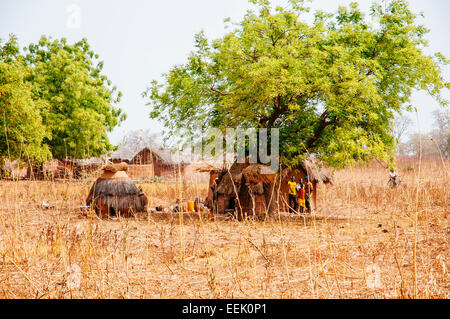 En pisé traditionnel et d'un toit de chaume village sur la frontière entre le Bénin et le Burkina Faso. Banque D'Images