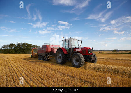 Le tracteur et la mise en balles balles carrées de paille d'orge un soir d'été à Norfolk, UK Banque D'Images