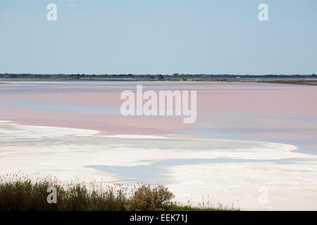 Lagon d'eau salée, aigues mortes, Camargue, Provence, France, Europe Banque D'Images