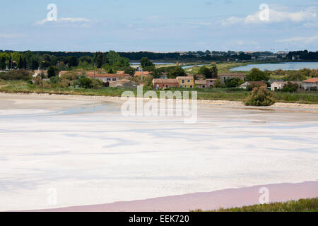 Lagon d'eau salée, aigues mortes, Camargue, Provence, France, Europe Banque D'Images