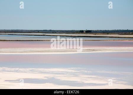 Lagon d'eau salée, aigues mortes, Camargue, Provence, France, Europe Banque D'Images