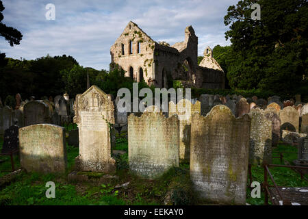 Grayabbey abbaye cistercienne et le cimetière dans le comté de Down en Irlande du Nord Banque D'Images