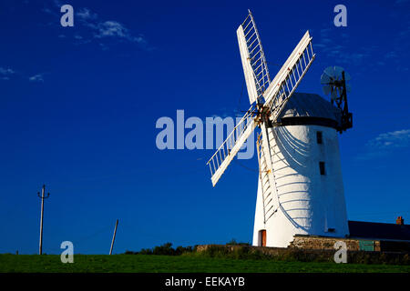 Ballycopeland moulin County Down Irlande contre le ciel bleu Banque D'Images