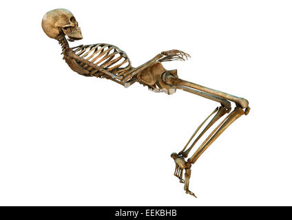 Numérique 3D render of a human skeleton danse isolé sur fond blanc Banque D'Images