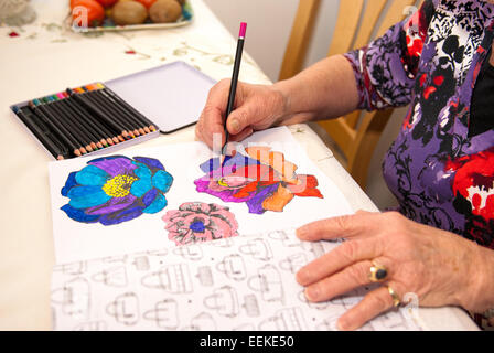 Femme âgée occupé avec des crayons de couleur dans un livre de coloriage Banque D'Images