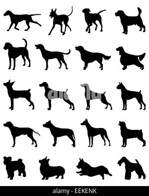 Silhouettes noires de différentes races de chiens, vector Banque D'Images