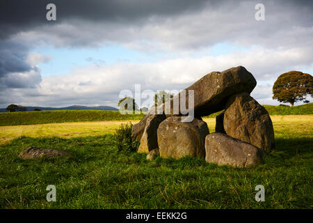 Bague géants tombe mégalithique henge Belfast Irlande du Nord Banque D'Images