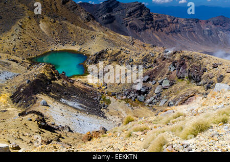 La NOUVELLE ZELANDE, Tongariro NP Banque D'Images