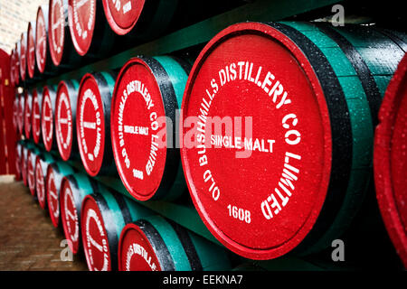 Barils de whisky single malt old bushmills distillery l'Irlande du Nord Banque D'Images