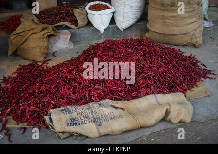 Close up de piments rouges séchés à vendre dans un marché de la ville de Jodhpur, de l'État de Rajasthan, Inde Banque D'Images