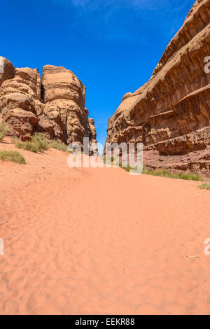 Rock Formation dans le désert de Wadi Rum, Jordanie Banque D'Images