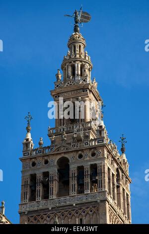 La Giralda de la Cathédrale de Séville, Séville, Andalousie, Espagne Banque D'Images