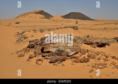 Paysage, Désert de Bayouda, asch-Schamaliyya, Nubie, Soudan Banque D'Images