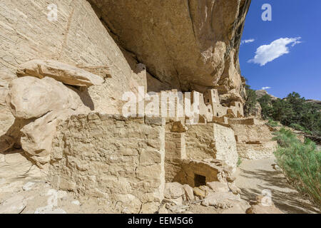 Logement falaise Cliff Palace, le parc national de Mesa Verde, Colorado, United States Banque D'Images